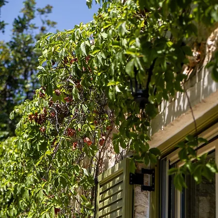 Villa Demetra *